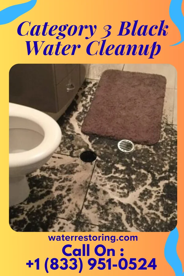 Category 3 Black Water Cleanup in Melville, RI