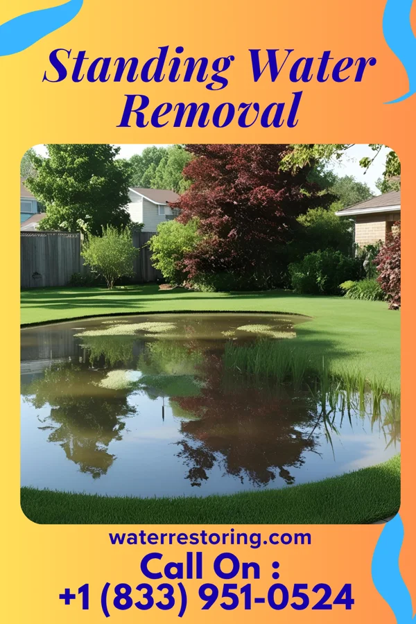 Standing Water Removal in Melville, RI